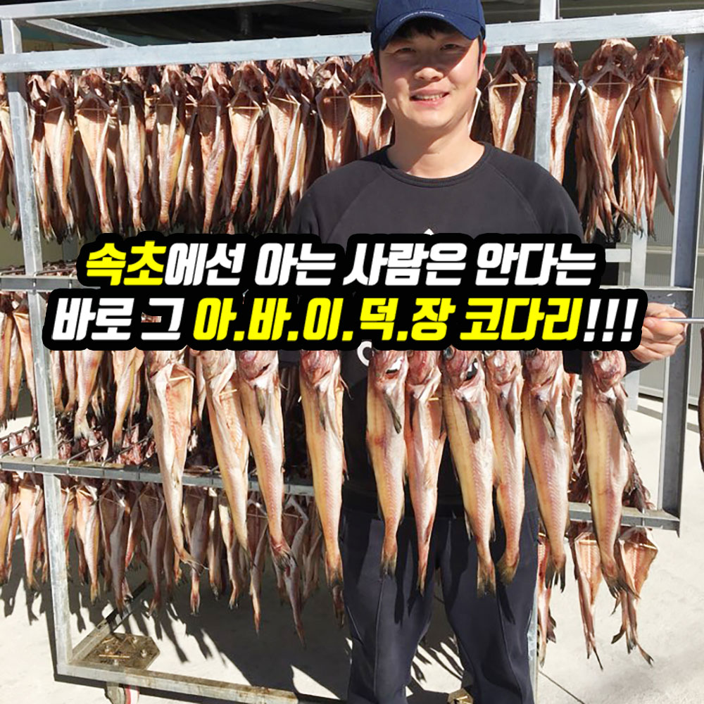 텐바이텐 10X10 : 강원도 속초 직송 반건조 코다리 10EA 40~43CM 내외